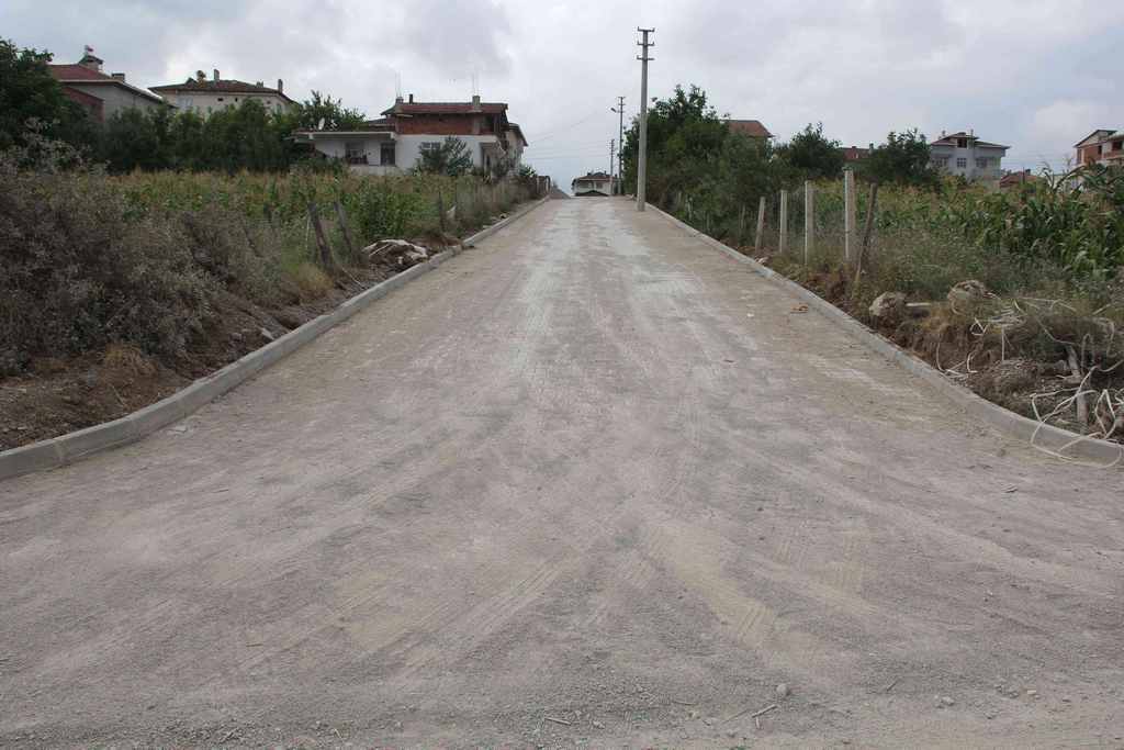 19 Mayıs
